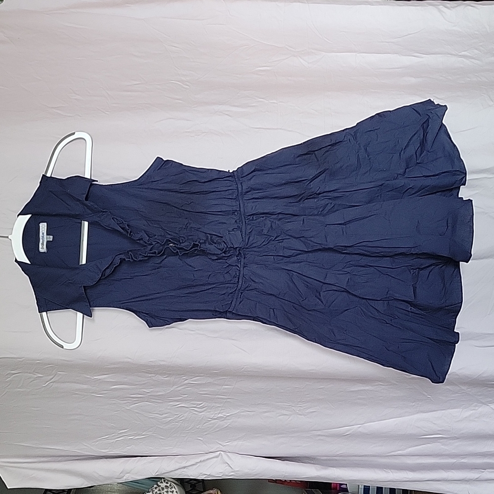 Bailey Blue dress